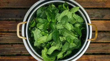 garnishing-instructions-image